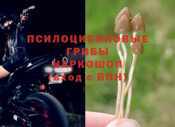 MESCALINE Алексеевка