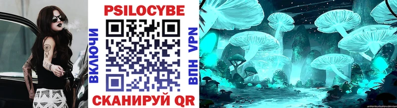 KRAKEN вход  Евпатория  Псилоцибиновые грибы прущие грибы 