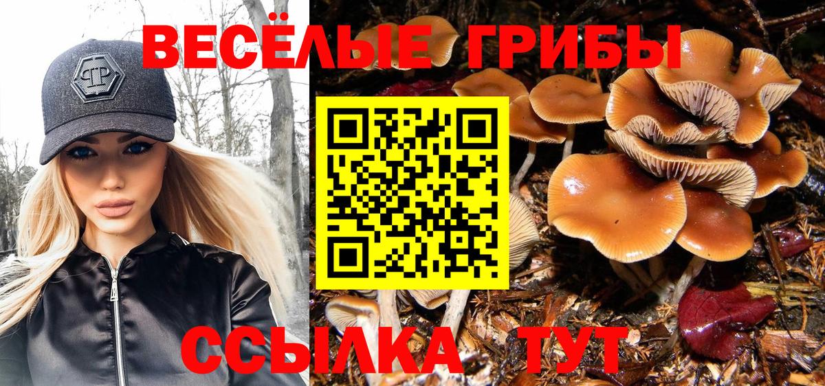 Галлюциногенные грибы Psilocybine cubensis  Вход с VPN  Евпатория 